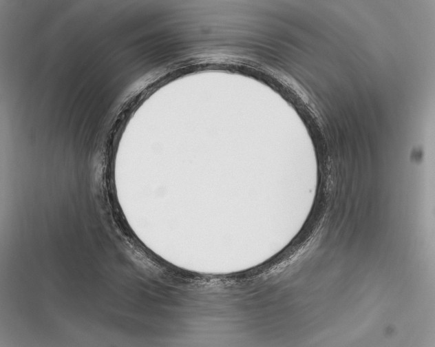 X0000116270922201001111011