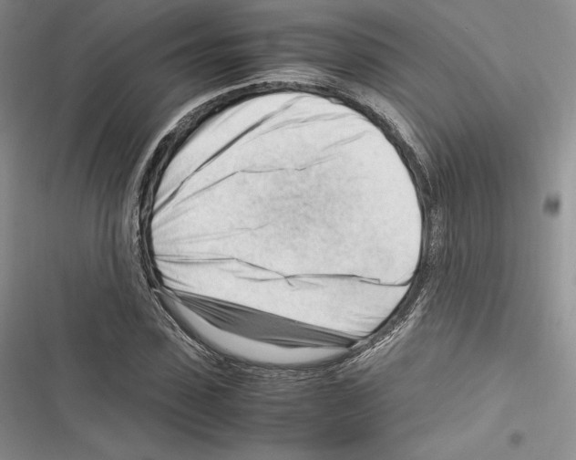 X0000116270923201001111011