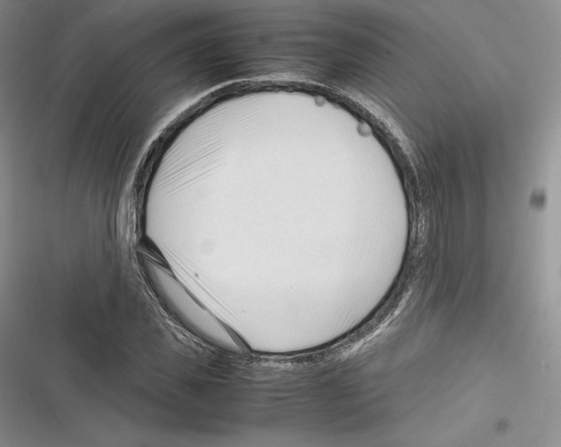 X0000116270925201001111011