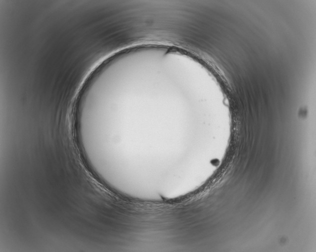 X0000116270926201001111011