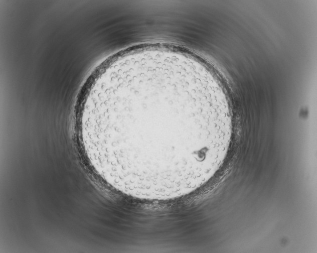 X0000116270927201001111011