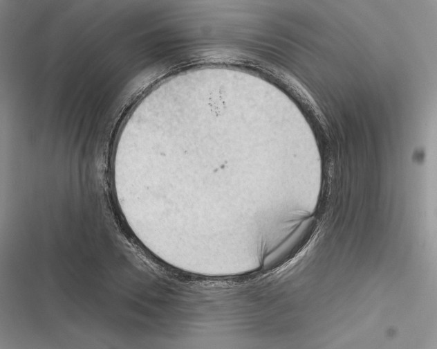 X0000116270930201001111011
