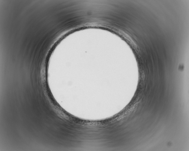 X0000116270934201001111011