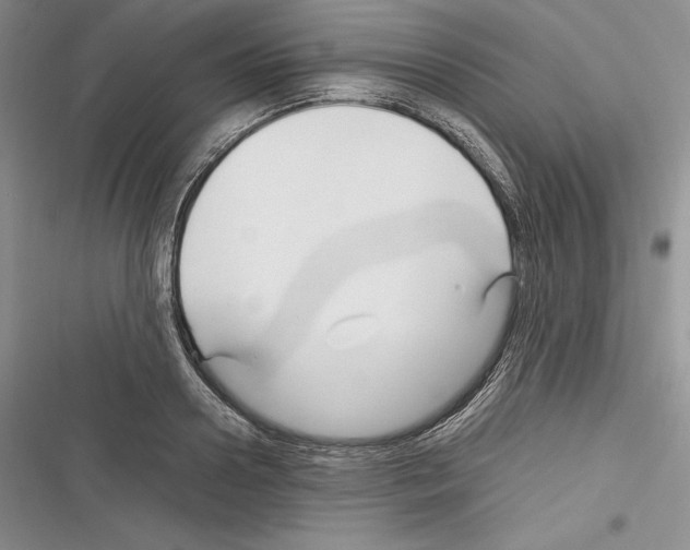 X0000116270938201001111011