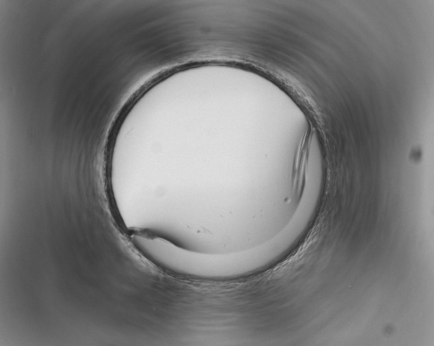 X0000116270942201001111011