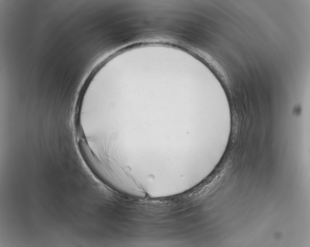 X0000116270943201001111011