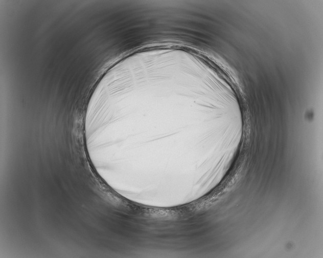 X0000116270945201001111011