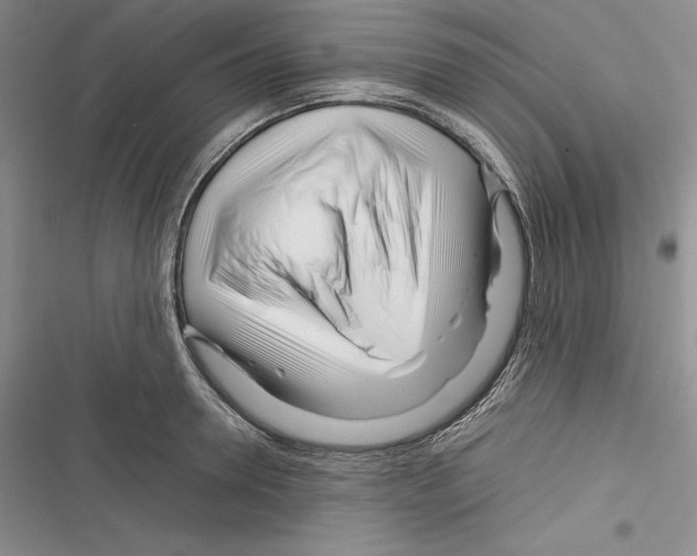 X0000116270946201001111011