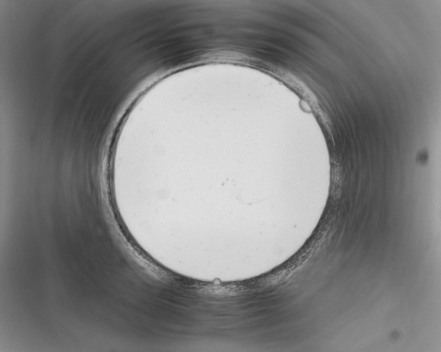 X0000116270947201001111011