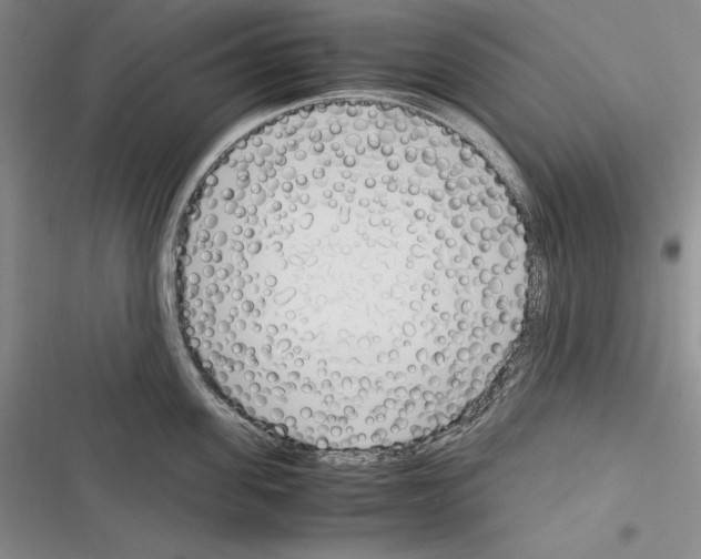 X0000116270955201001111012