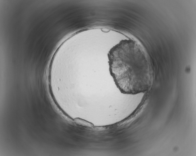 X0000116270957201001111012