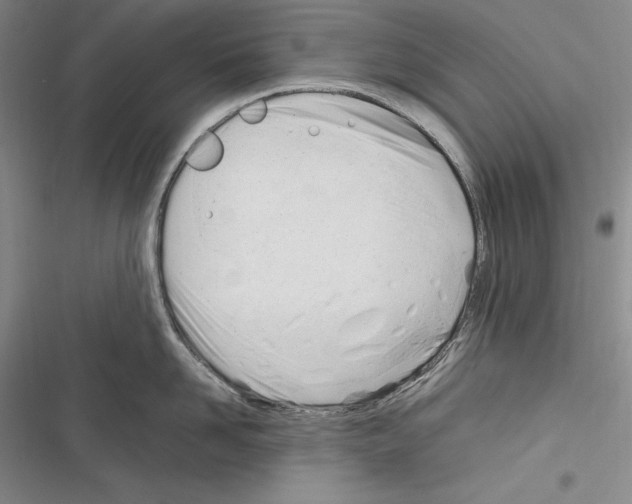 X0000116270958201001111012
