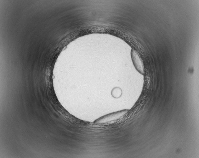 X0000116270964201001111011