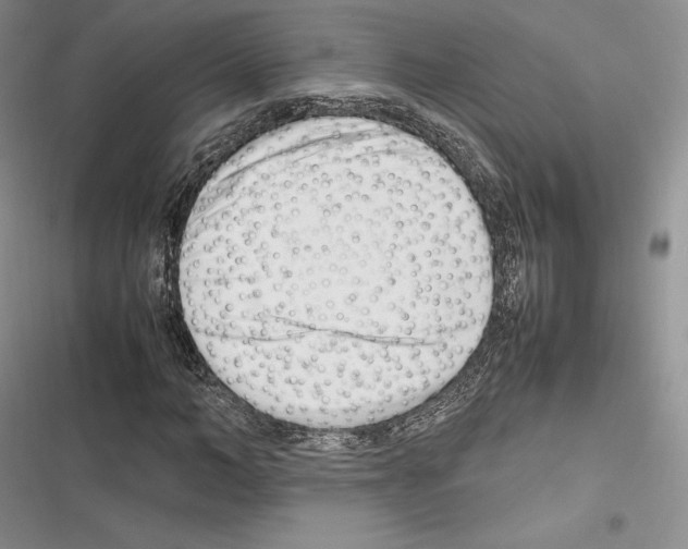 X0000116270966201001111011
