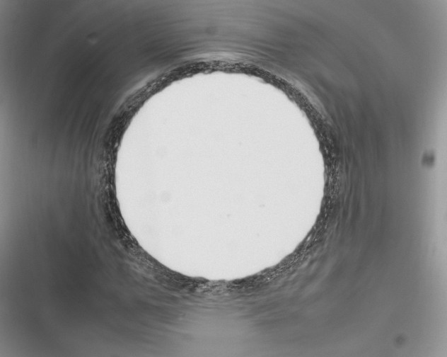 X0000116270967201001111011