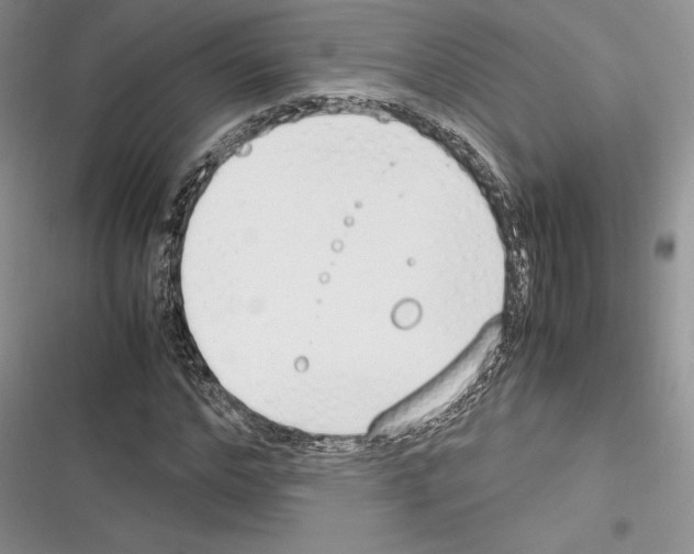 X0000116270968201001111011