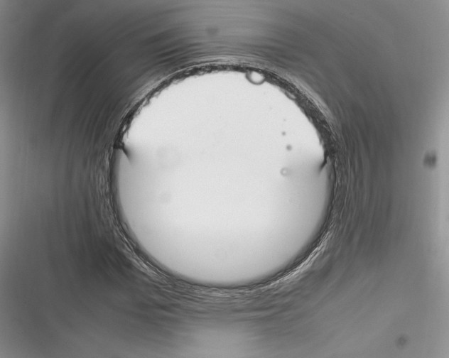 X0000116270969201001111011