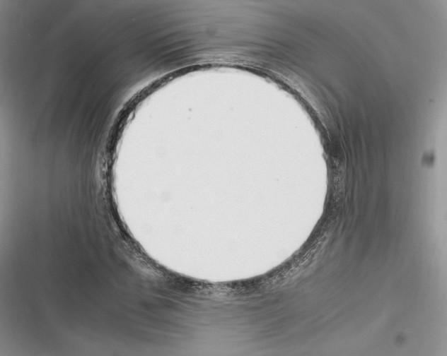 X0000116270971201001111011