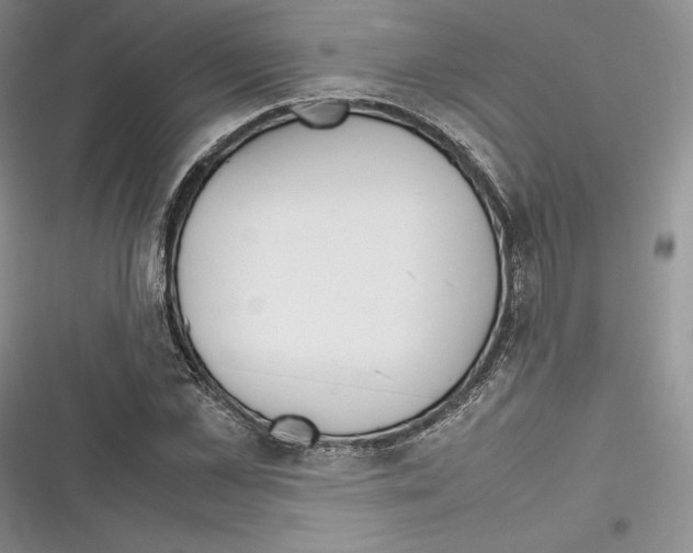 X0000116270973201001111011