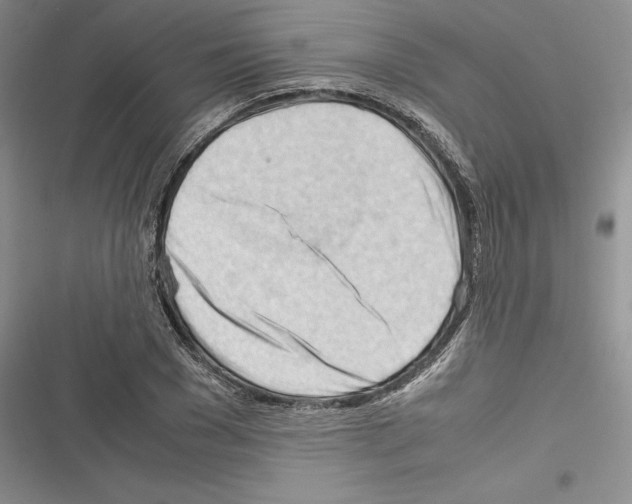 X0000116270977201001111011