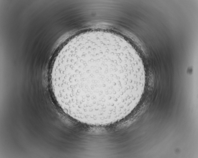 X0000116270978201001111011
