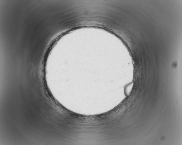 X0000116270979201001111011