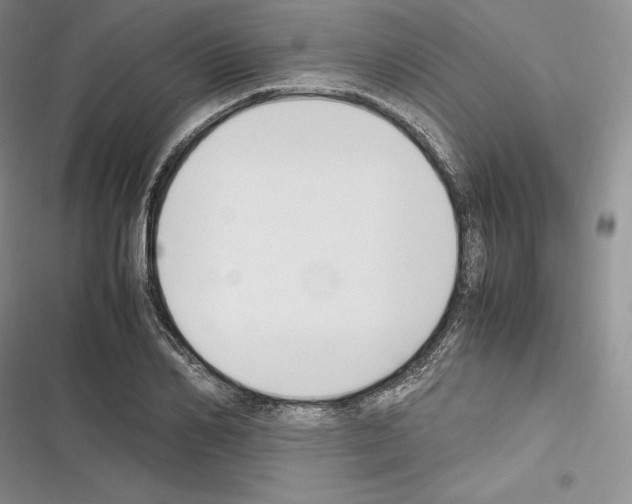 X0000116270982201001111011