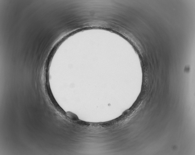 X0000116270983201001111011