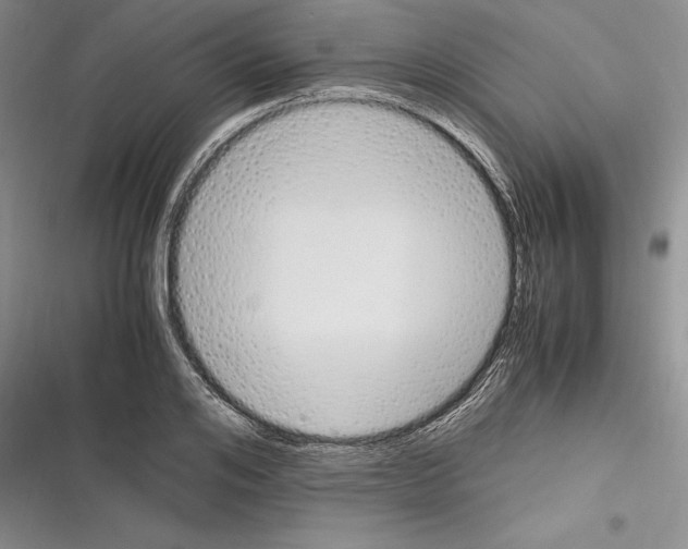 X0000116270984201001111011