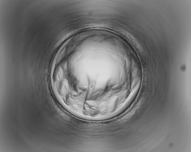 X0000116270985201001111011