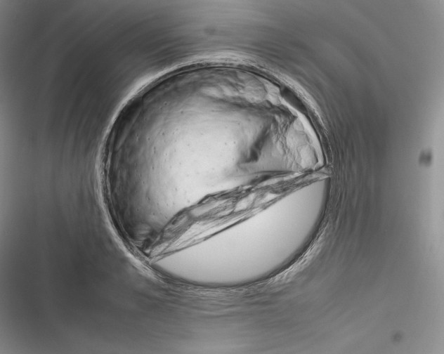X0000116270989201001111011