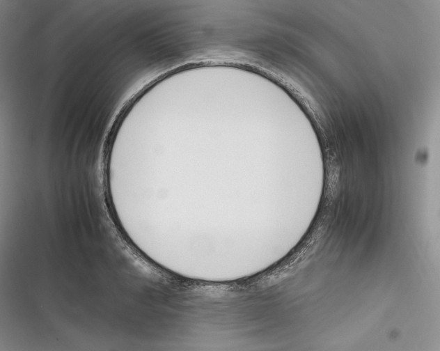 X0000116270990201001111011