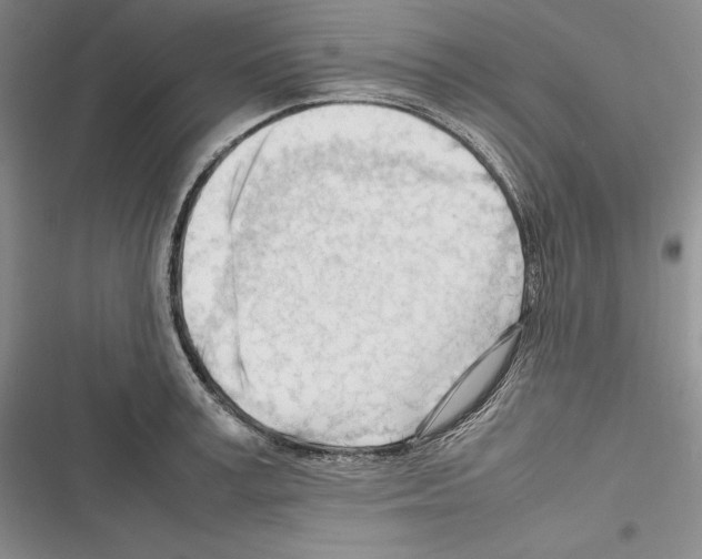 X0000116270995201001111010
