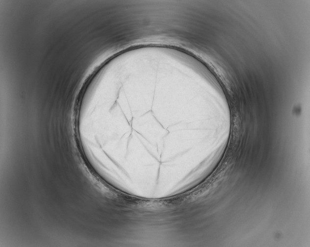 X0000116270998201001111010