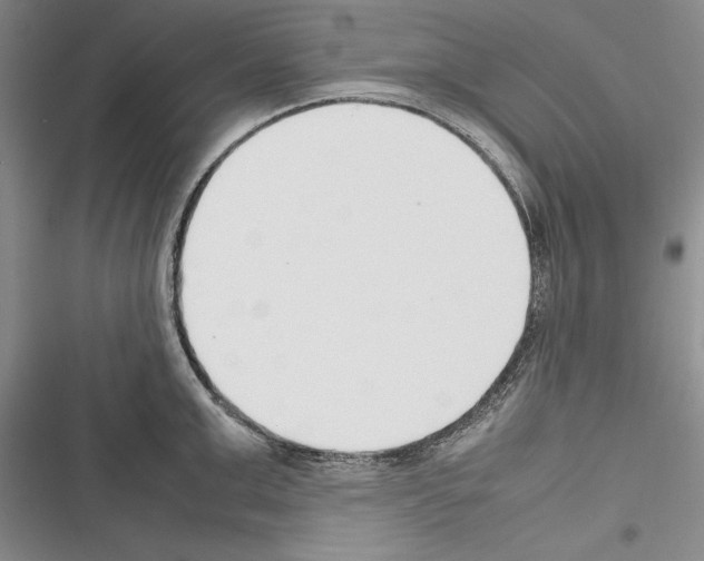 X0000116270999201001111010