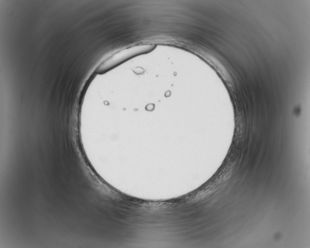 X0000116271000201001111010