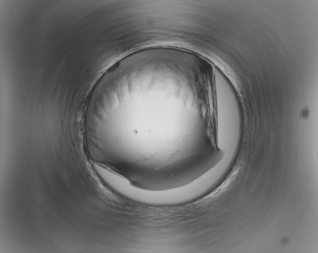 X0000116271001201001111010