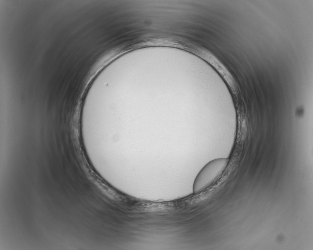 X0000116271002201001111010