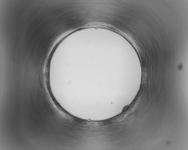 X0000116271003201001111010