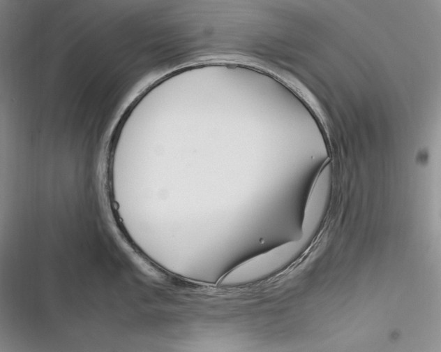 X0000116271005201001111010