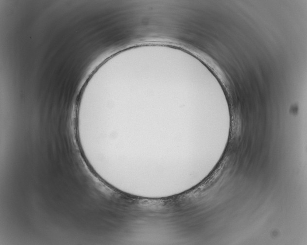 X0000116271006201001111010