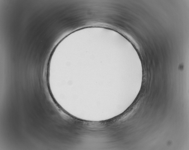 X0000116271007201001111010