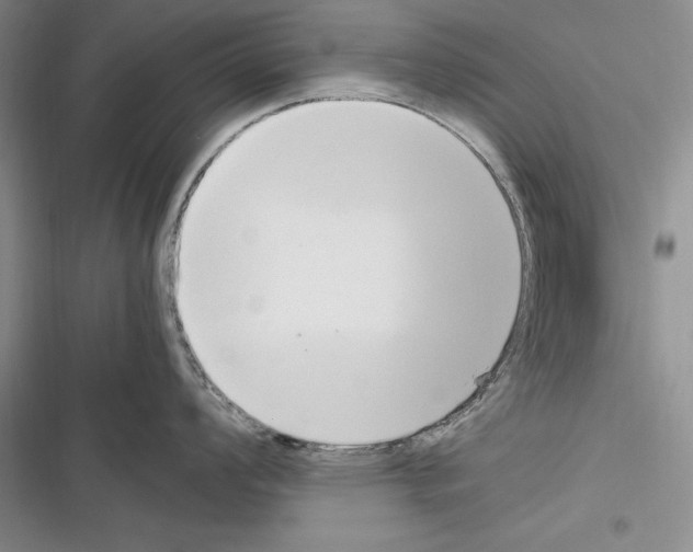 X0000116271008201001111010
