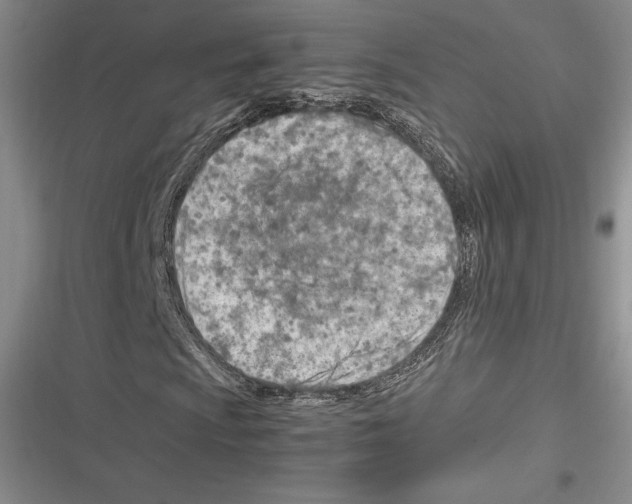 X0000116271009201001111010