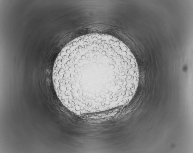 X0000116271010201001111010