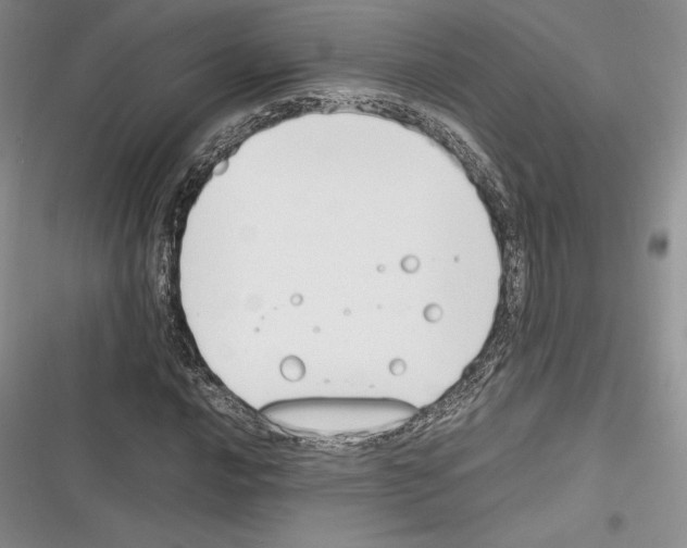 X0000116271016201001111010