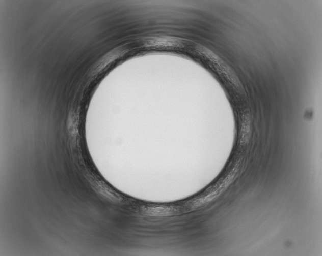 X0000116271017201001111010
