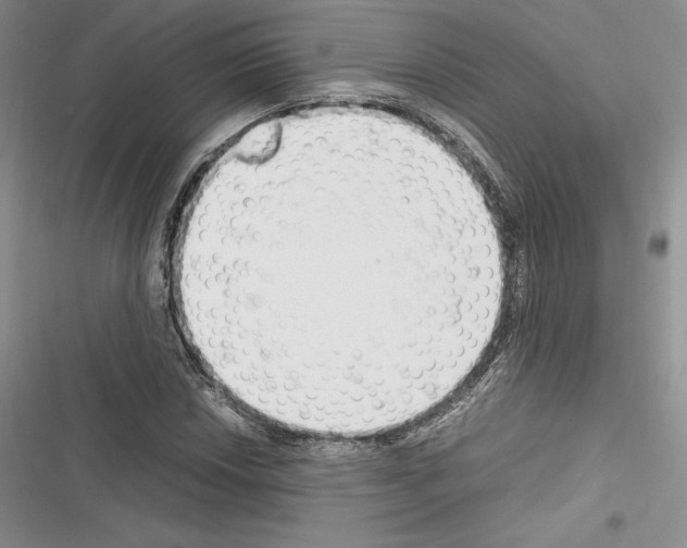 X0000116271018201001111010