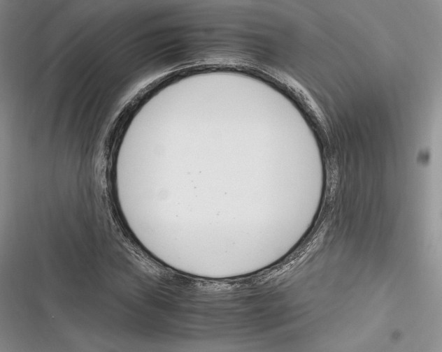 X0000116271019201001111010