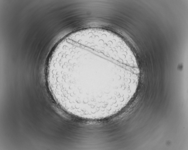 X0000116271026201001111010